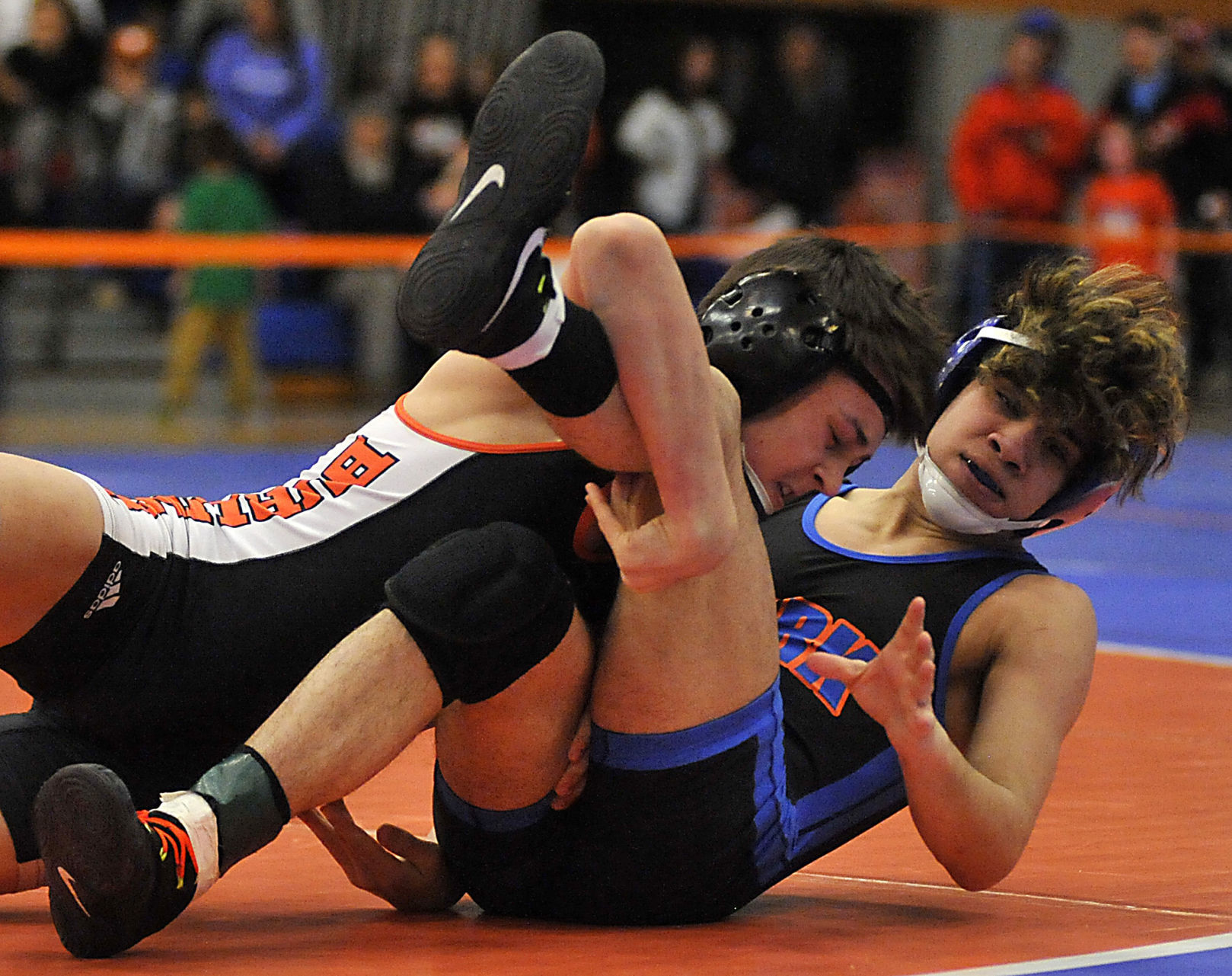 WIAA D1 Wrestling Sectional